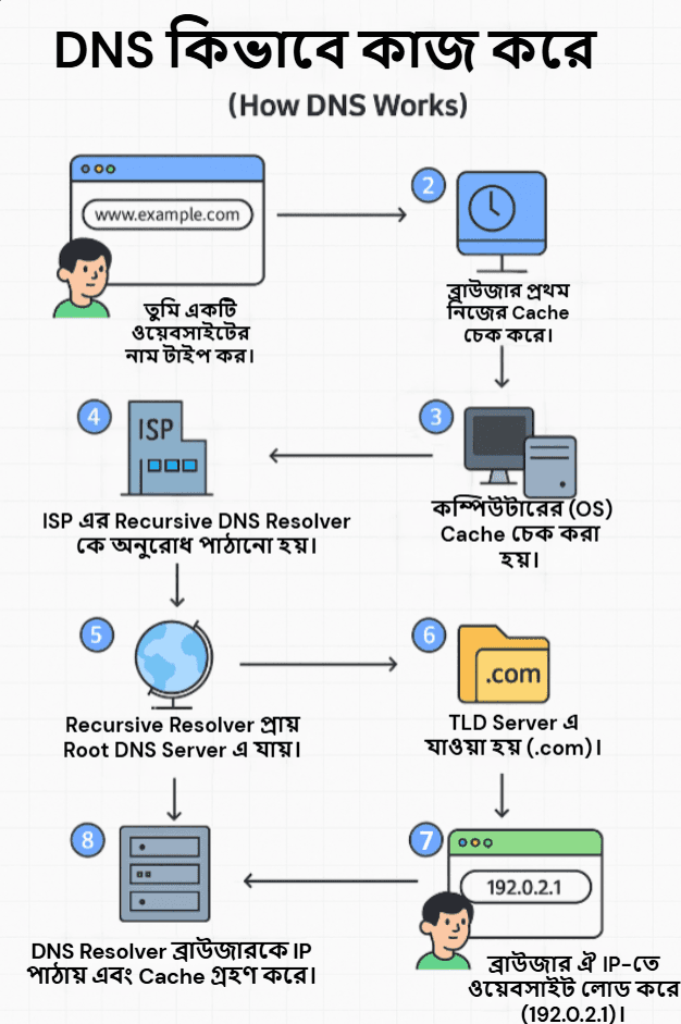 ./DNS System.png